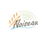 logo_noiseau